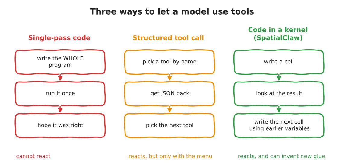 Hand-drawn comparison of three interfaces: single-pass code writes the whole program and hopes, structured tool call picks from a menu, and code in a kernel writes a cell, looks, and writes the next cell using earlier variables
